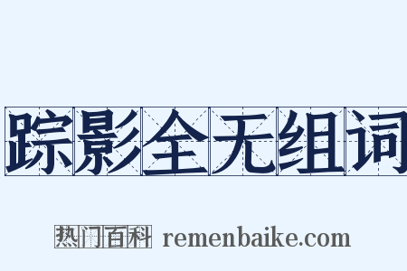 踪影全无组词是什么意思的图片